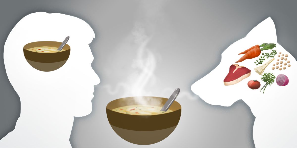 Un omo e un can i snasa una minestra. El omo sol l’è bon de sentir el odor dela minestra. Invesse, el can l’è bon de sentir el odor de tuto quel che va nela minestra