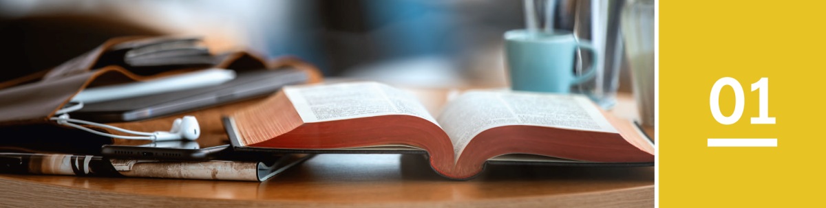 Lession 1. Una Bìblia verta.