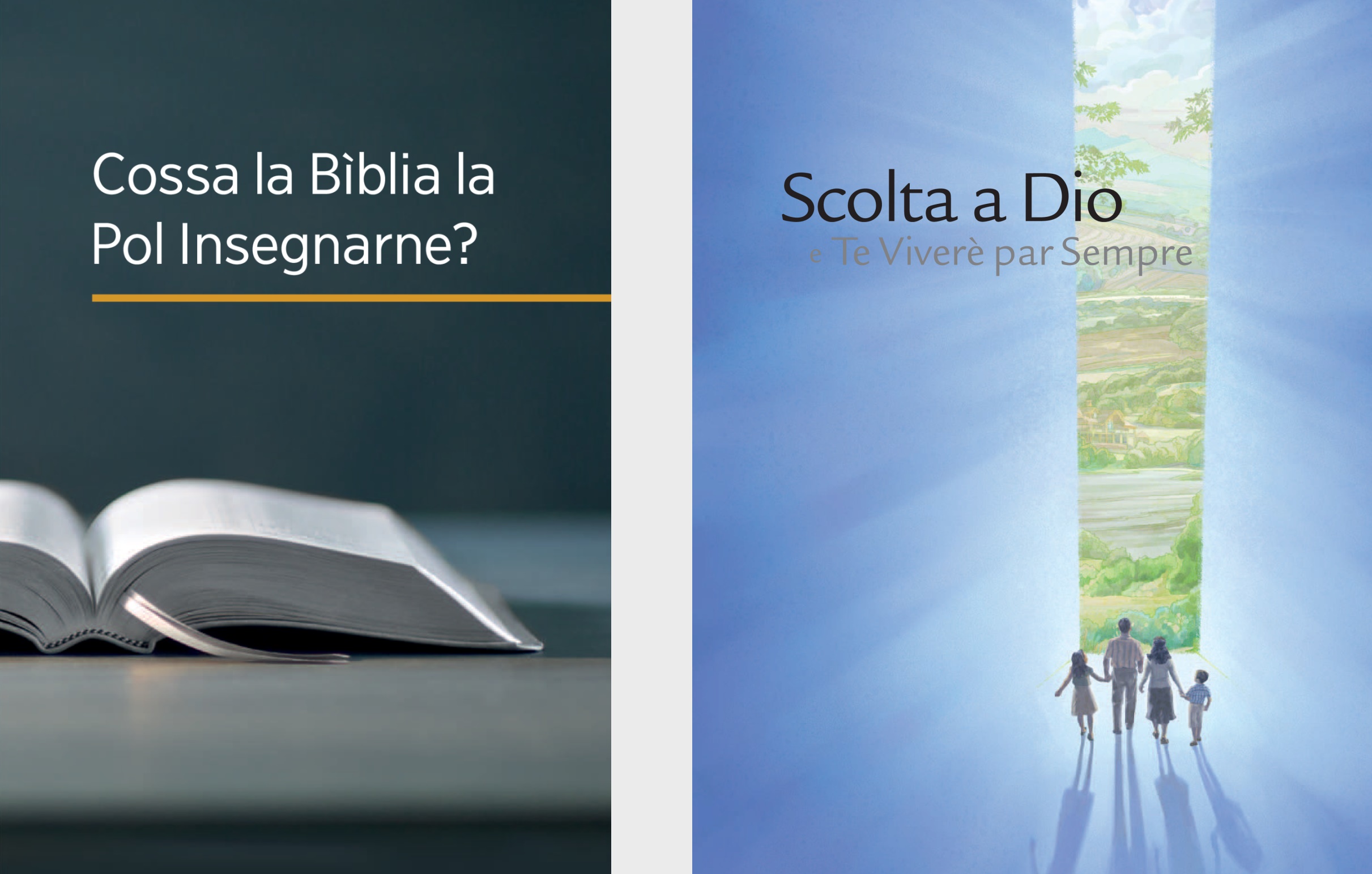 The book ‘What Can the Bible Teach Us?’ and the brochure ‘Listen to God and Live Forever.’