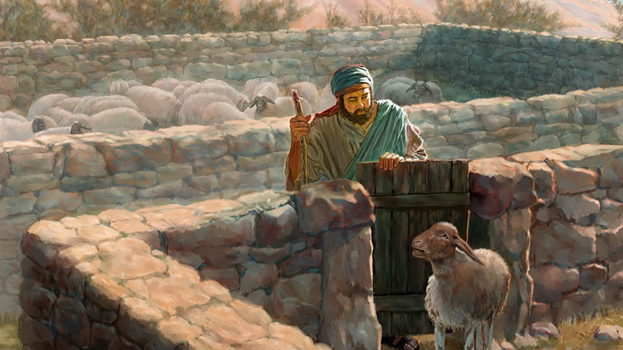 Un pastor l’è drio rivar darente de una piégora malada che ze distante de quelaltre.