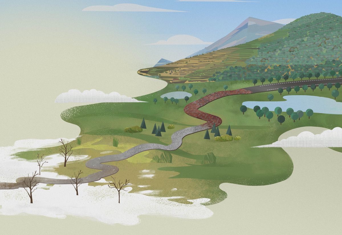 Una strada la deventa pi drita e pi bela. Drio la strada, le piante le resta pi bele e vien su ancora altre.