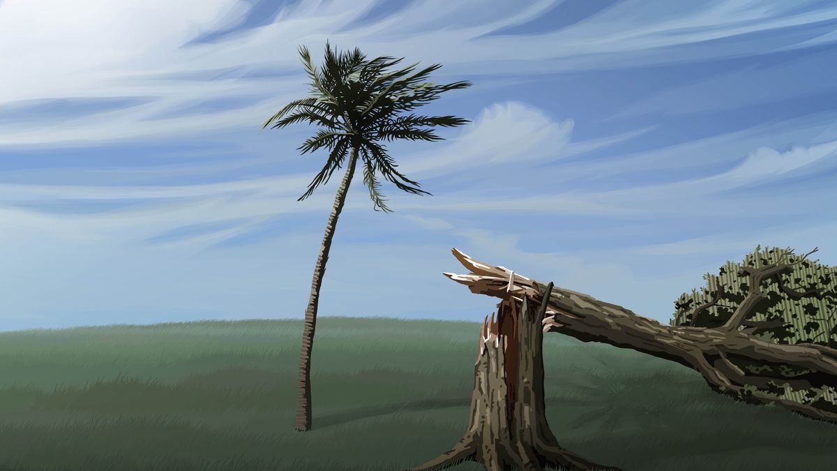 Due piante in meso una bruta tempesta. Una la ze spacada parché la era massa dura. Magari, quel altra, seita firmi parché la ze stata bona de moverse un pochetin par cada banda.