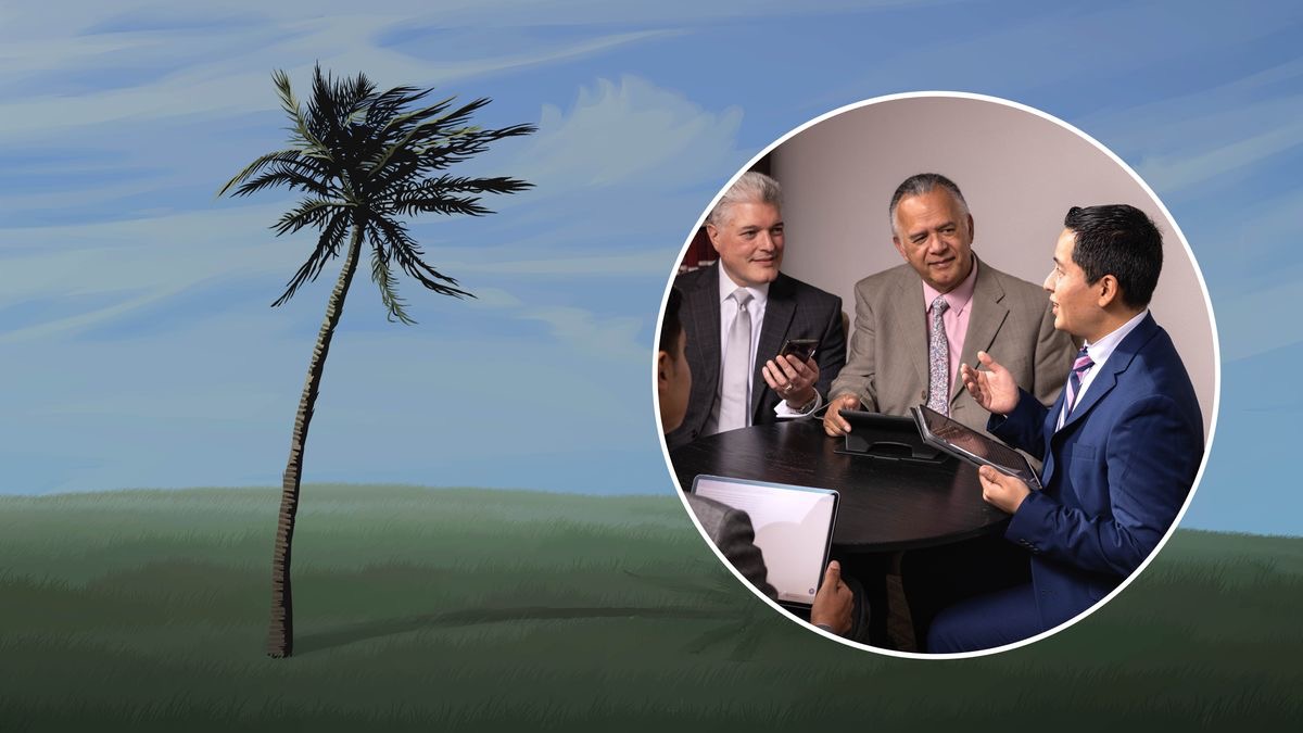 In meso una tempesta la pianta la ze bona de moverse un pochetin par cada banda. Un ritrato mostra una reunion de ansiani. Un ansiano pi gióveno l’è drio parlar intanto che altri ansiani pi vèci lo scolta.