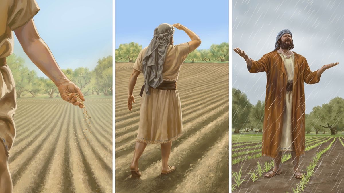 Ilustrassion: 1.  Un colono el semena le semense nel campo. 2.  Lu el varda el campo par veder se le semense le ze drio butar. 3.  Lu l’è contento in meso la so piantassion intanto che piove.