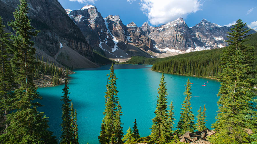 Un lago con montagne e tante piante intorno.