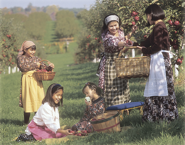 Elatarato epaaxina 107