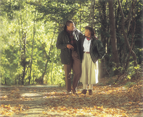 Elatarato epaaxina 28