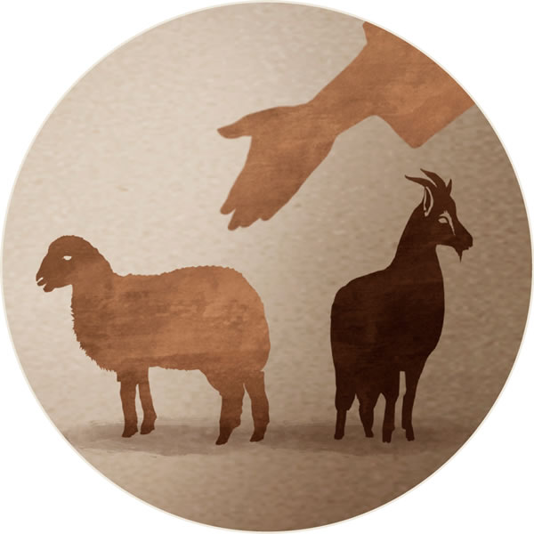 Ovalaalinya wa ipwittipwitthi ni ipuri